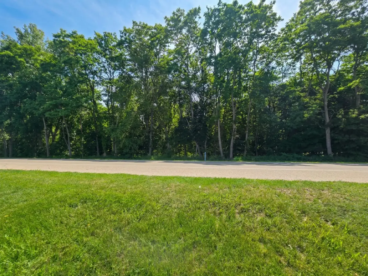 V/L E Washington Street, Greenville, MI 48838 - #1