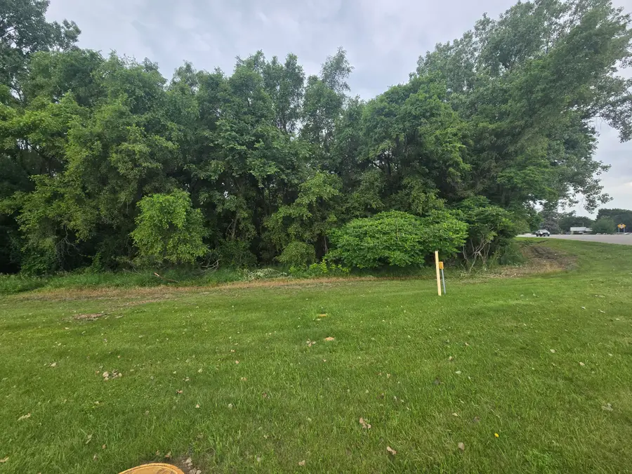 V/L E Washington Street, Greenville, MI 48838 - #2