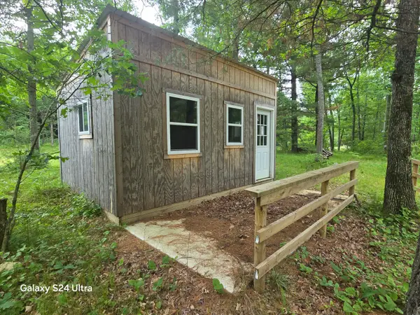 10513 N Peacock Trail, Irons, MI 49644