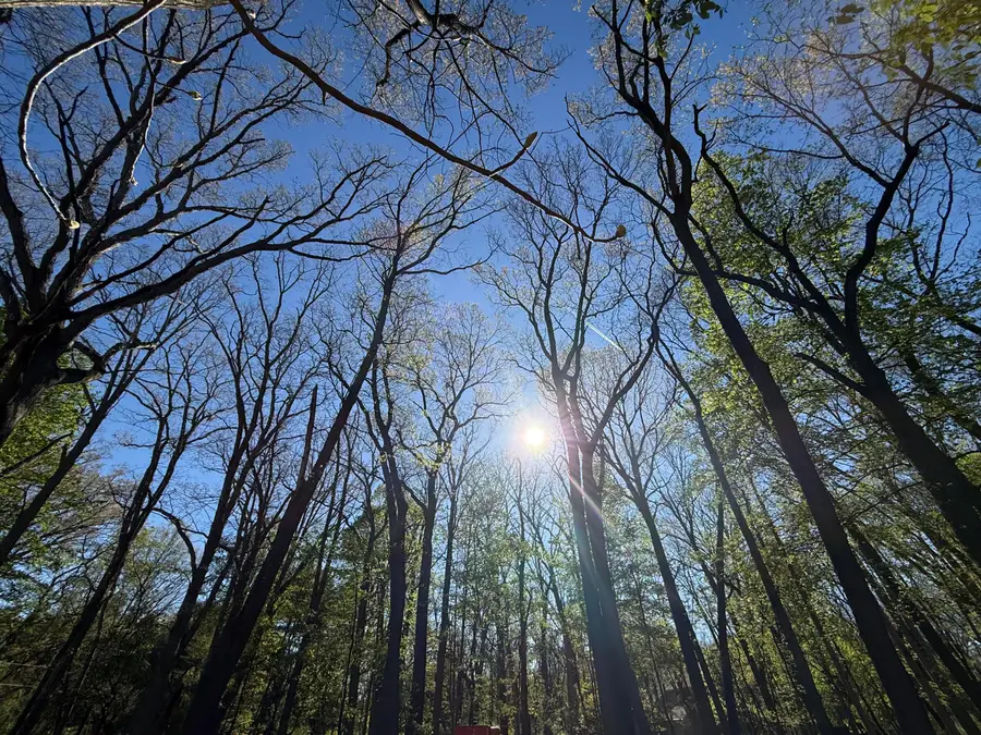 Cherrywood Lane, Ann Arbor, MI 48103 - #3