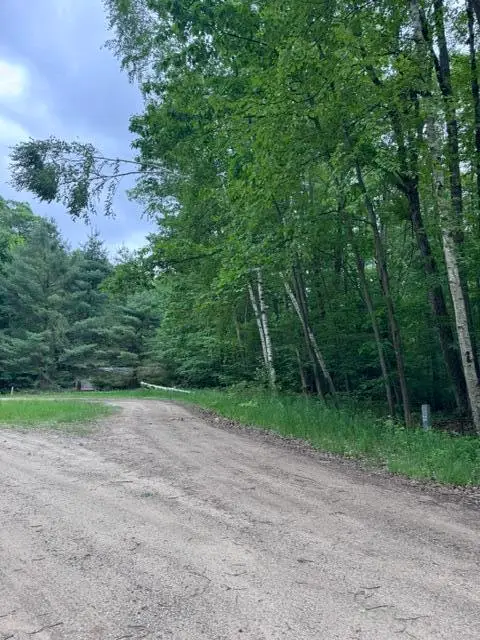 114 Bluff Drive, Leroy, MI 49655 - #1