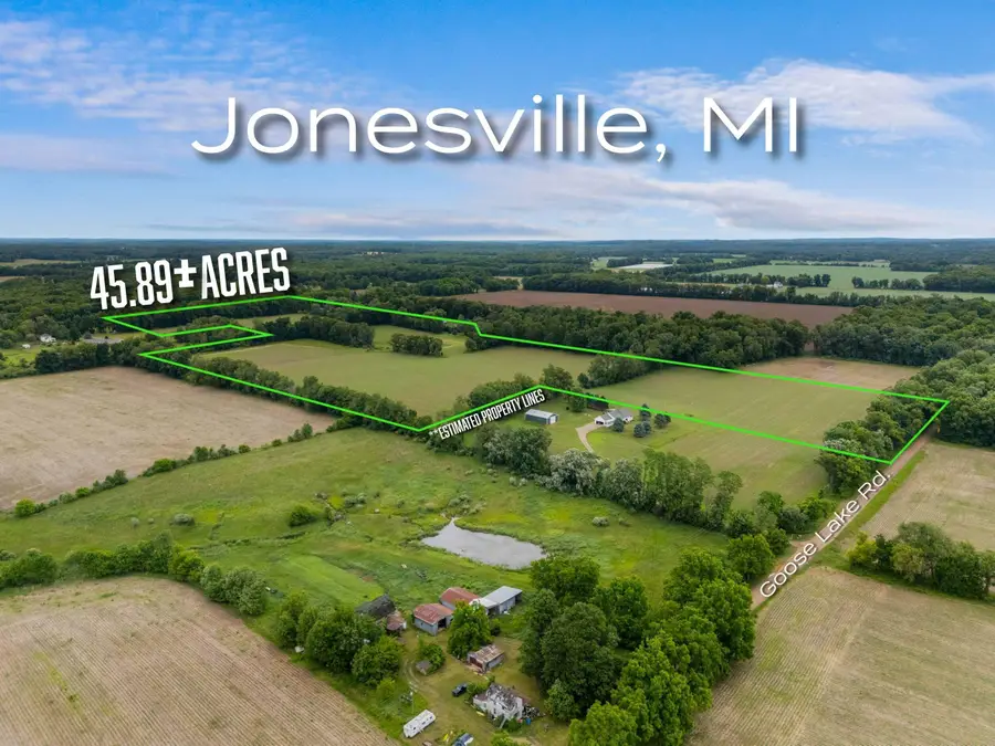 00 Goose Lake Road, Jonesville, MI 49250 - #2