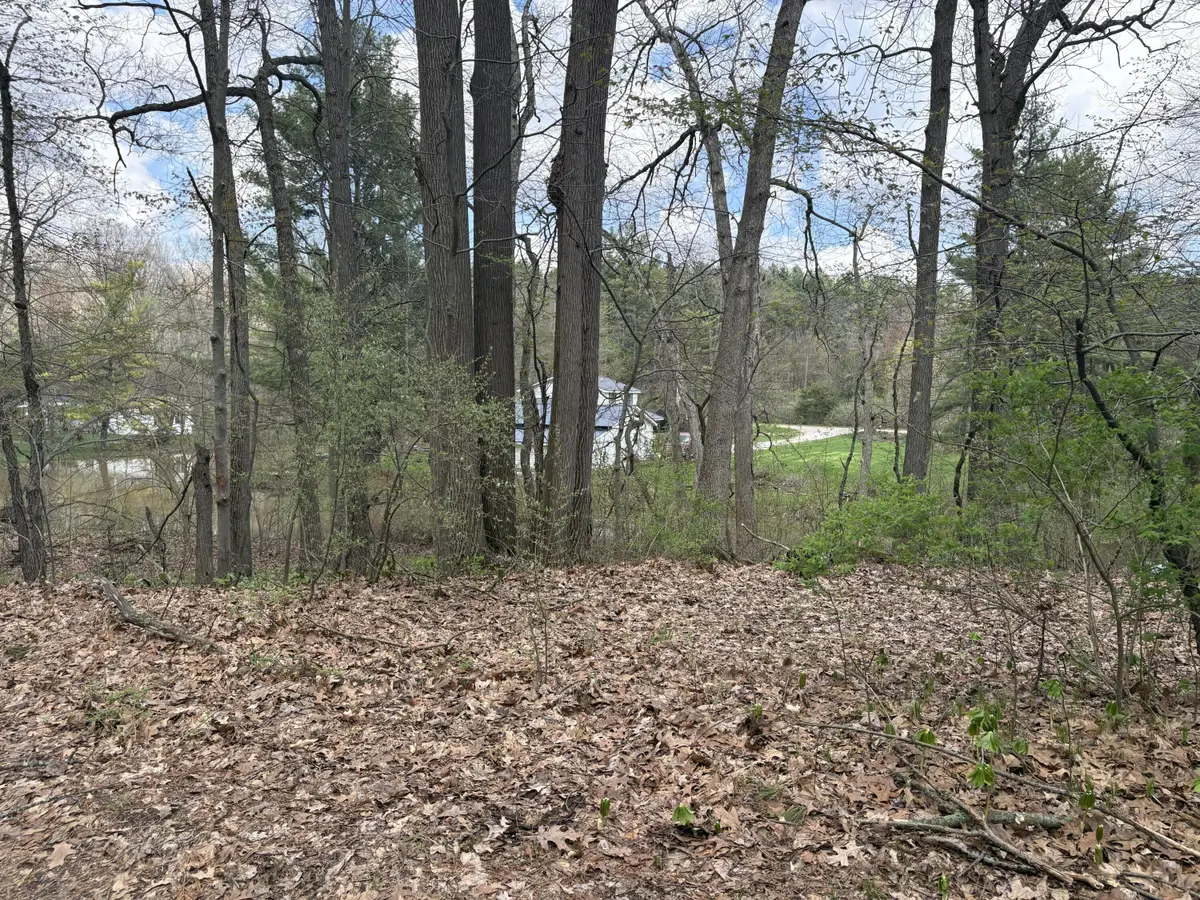 8091 Poplar Drive, Reading, MI 49274 - #1