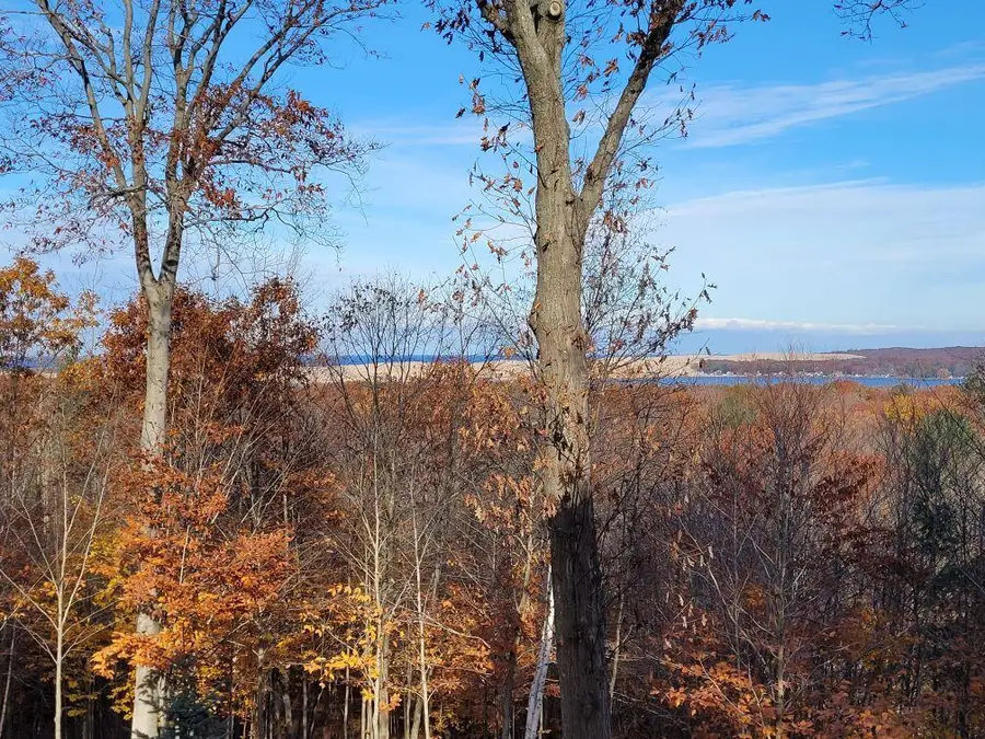 8584 W Woodridge Drive, Mears, MI 49436 - #3