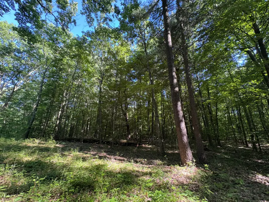 104th Avenue, Allegan, MI 49010 - #2