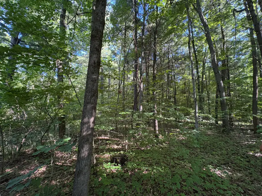 104th Avenue, Allegan, MI 49010 - #3