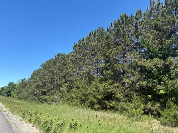 7.91 Acres Butwell Road, Bear Lake, MI 49614