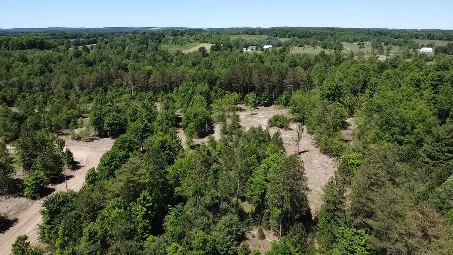 5.67 Acres Norconk Road, Bear Lake, MI 49614 - #3