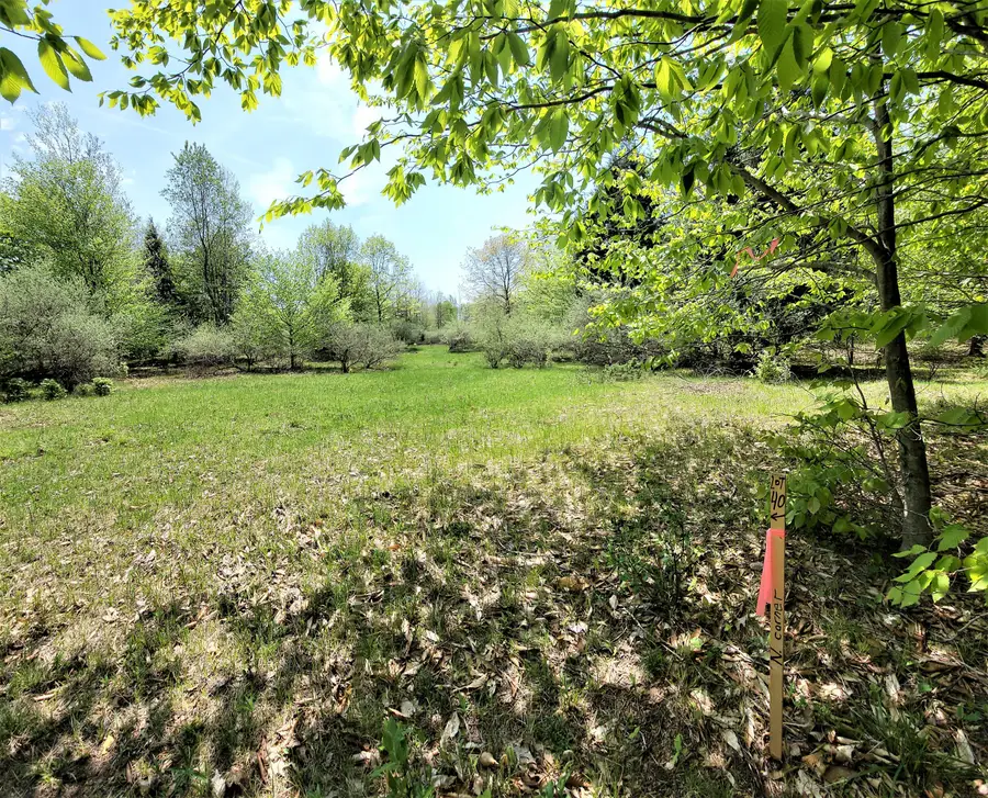 Smith Road #Lot 40, Onekama, MI 49675 - #3
