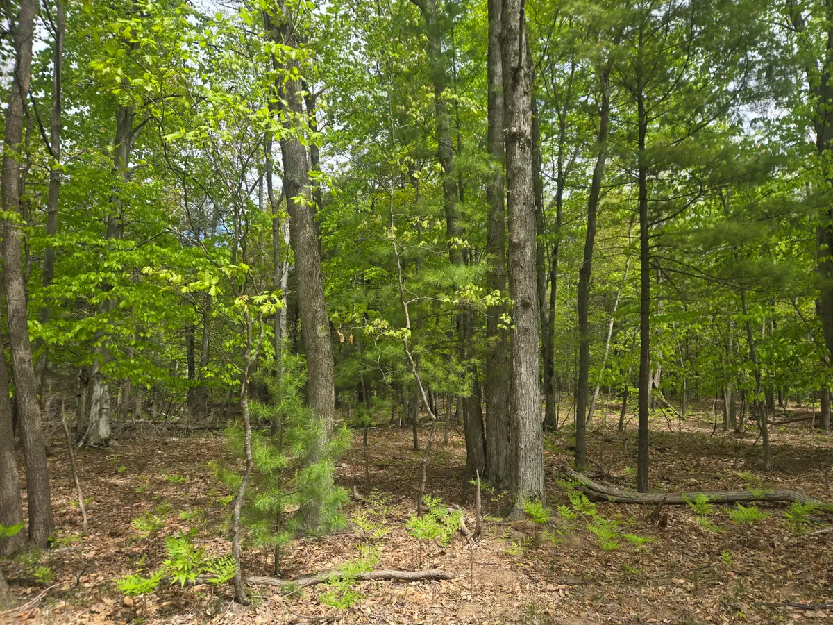VL 10 ACRE N Ridge Road Road, Mears, MI 49436 - #1