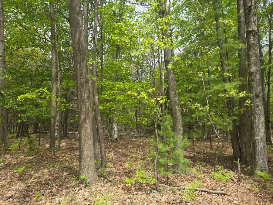 VL 10 ACRE N Ridge Road Road, Mears, MI 49436 - #2