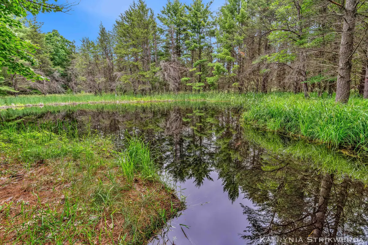 V/L E Kinney Rd, Branch, MI 49402 - #1