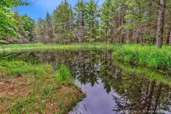V/L E Kinney Rd, Branch, MI 49402