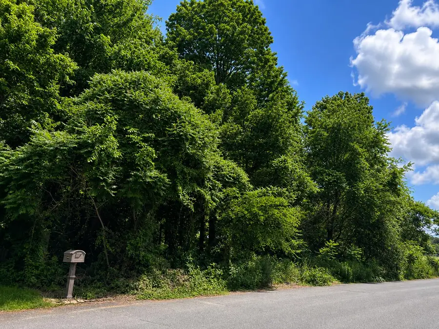 6158 Deer Run Road, Schoolcraft, MI 49087 - #3