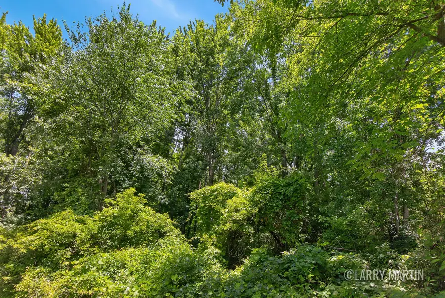 8840 Burlingame Avenue Sw, Byron Center, MI 49315 - #3