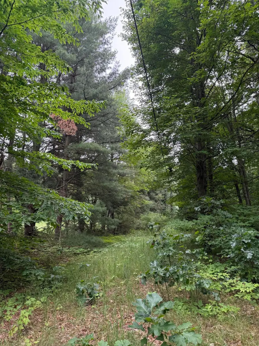 23250 W Wood Lake Road, Pierson, MI 49339 - #2