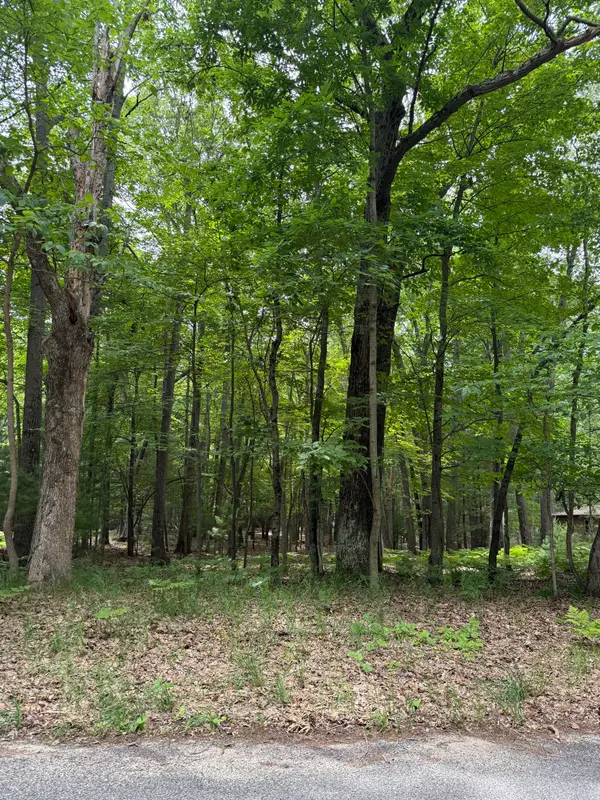 Lot 127 Wayne Road, Pentwater, MI 49449