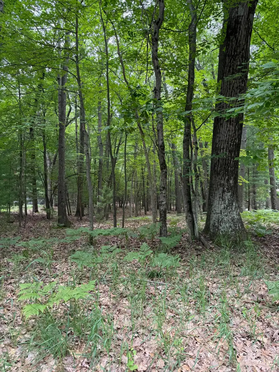 Lot 127 Wayne Road, Pentwater, MI 49449 - #2
