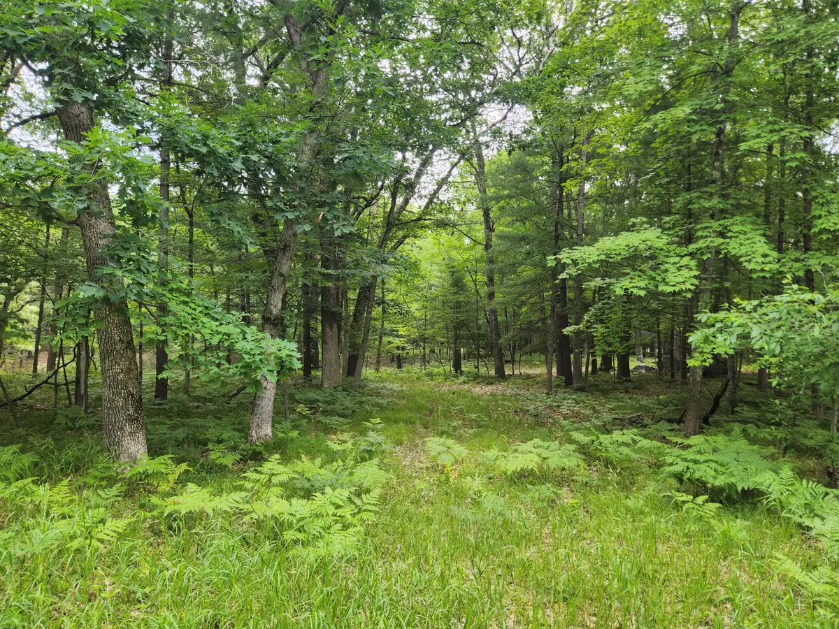 VL Rebecca Road, Baldwin, MI 49304 - #1