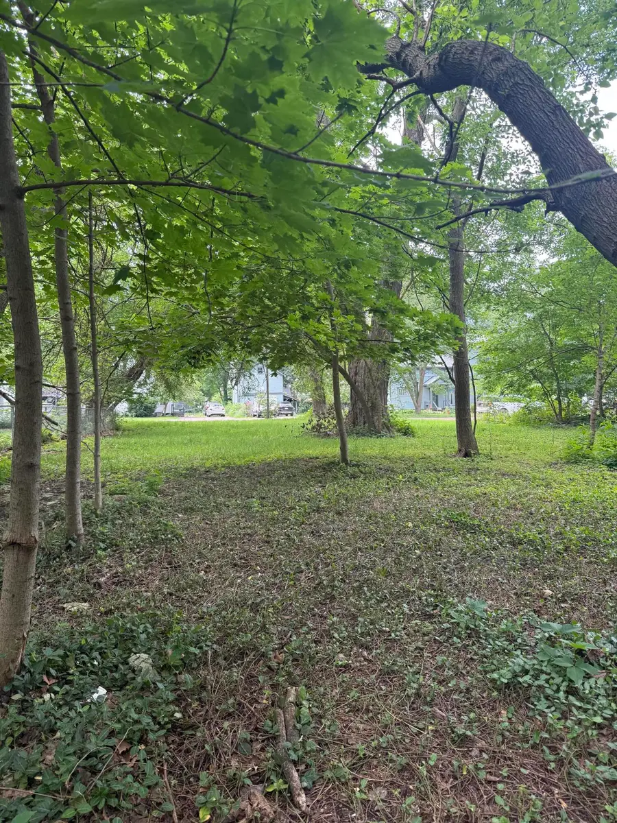 V/L Elm Street, Paw Paw, MI 49079 - #2