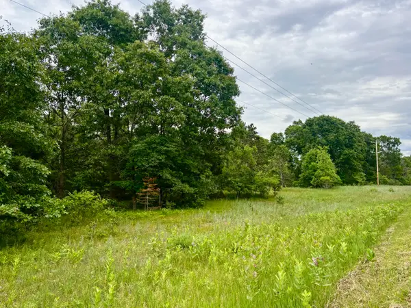 V/L Whitehall Rd, Whitehall, MI 49461
