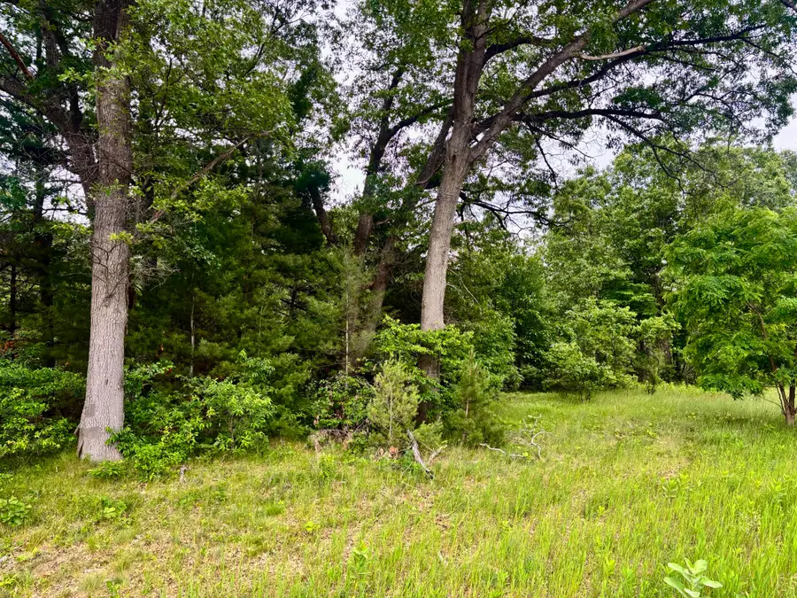 V/L Whitehall Rd, Whitehall, MI 49461 - #3