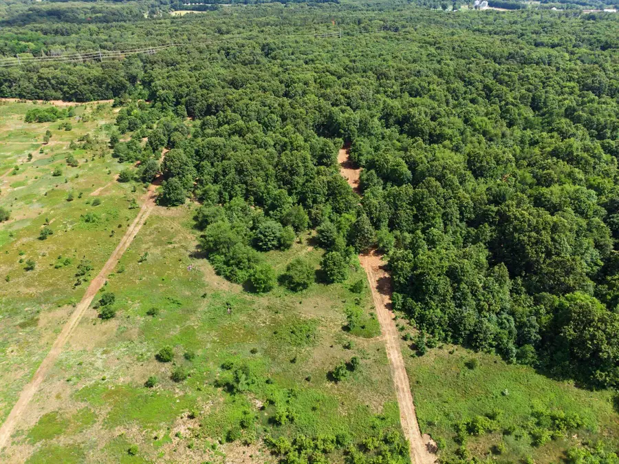 VL-G County Road 352, Decatur, MI 49045 - #2