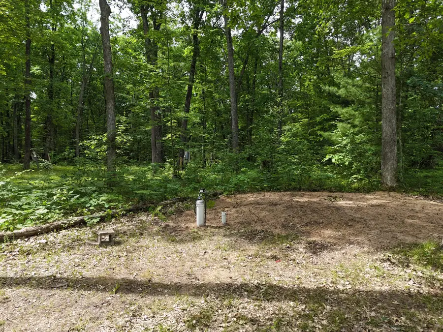 4570 Mary Road, Wellston, MI 49689 - #3