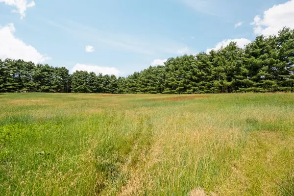 18250 Bush Road, Chelsea, MI 48118