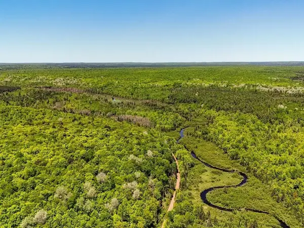 Federal Forest Highway 16, Iron River, MI 49935