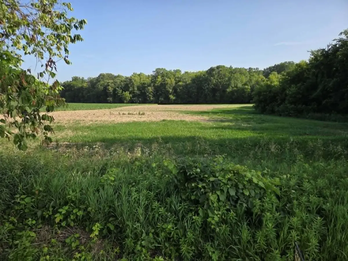 13450 Beardslee Street Ne #LOT C, Greenville, MI 48838 - #1