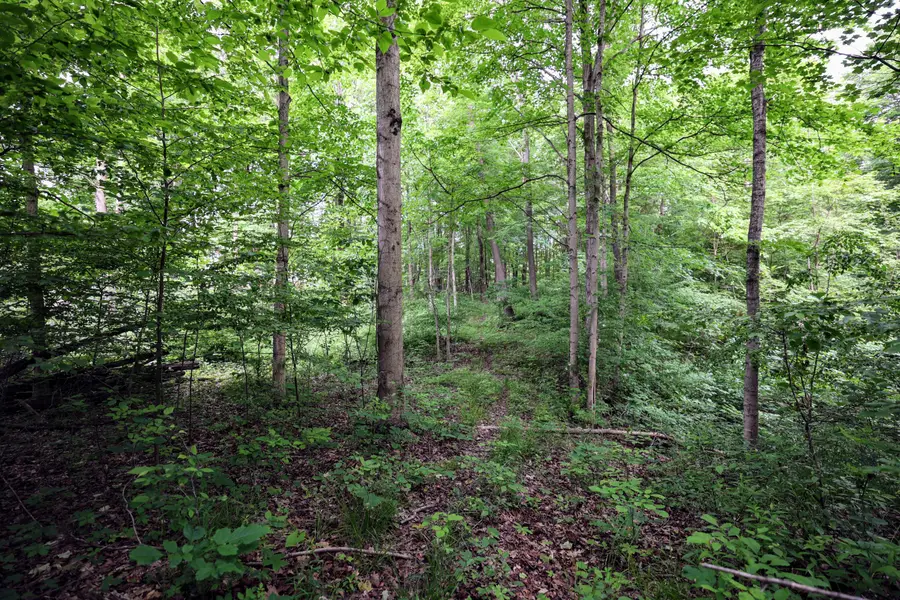 VL Black River Rd, Bangor, MI 49013 - #2