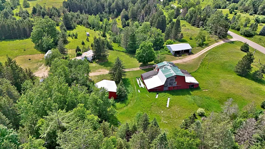 11601 W Rhoby Road, Manton, MI 49663 - #2