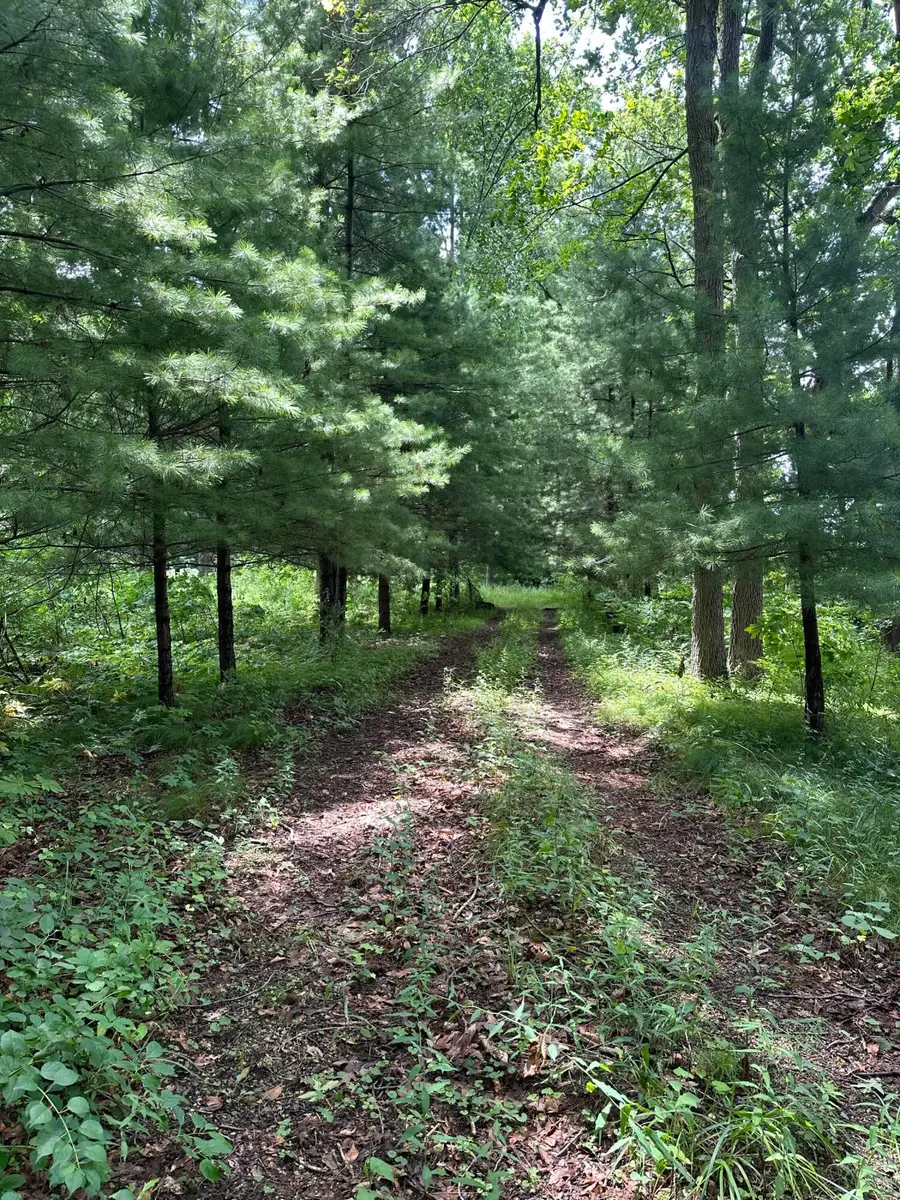 14765 Millard Road, Three Rivers, MI 49093 - #3