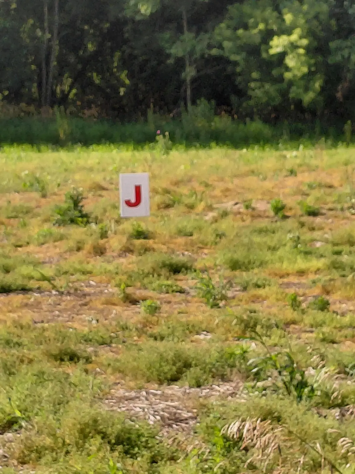 Stony Lake Road, Jackson, MI 49201 - #1
