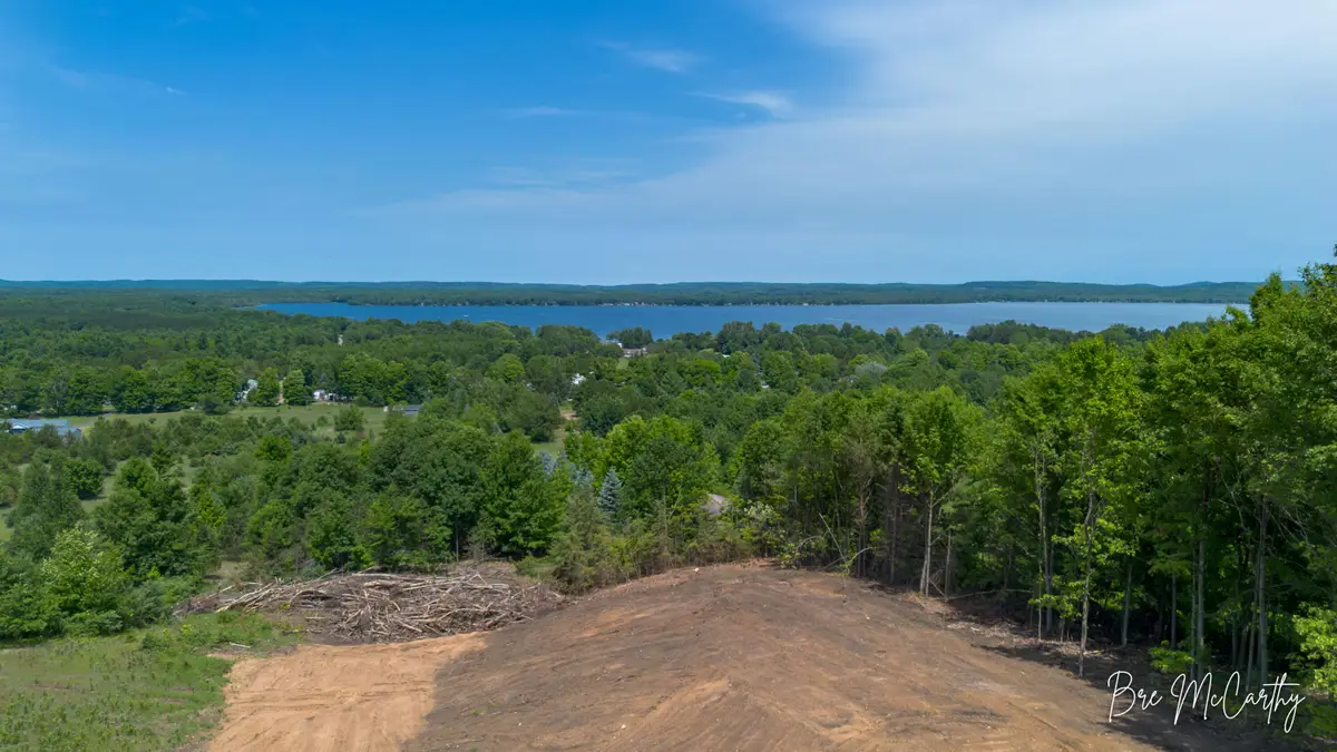 V/L Spruce Ridge Road, Bear Lake, MI 49614 - #1