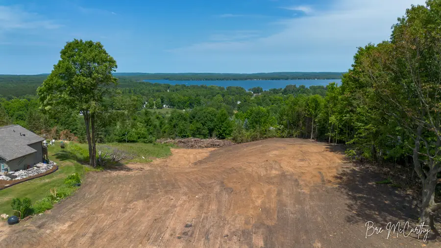 V/L Spruce Ridge Road, Bear Lake, MI 49614 - #3