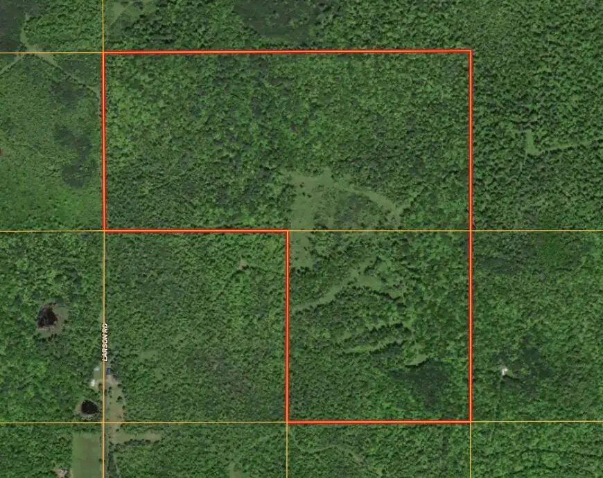 V/L Larson Road, Bruce Crossing, MI 49912 - #1