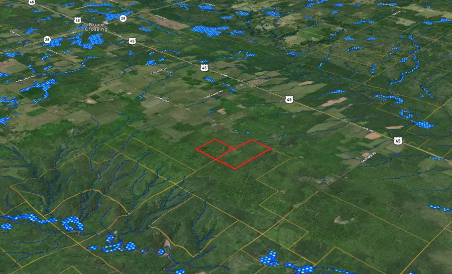 V/L Larson Road, Bruce Crossing, MI 49912 - #3
