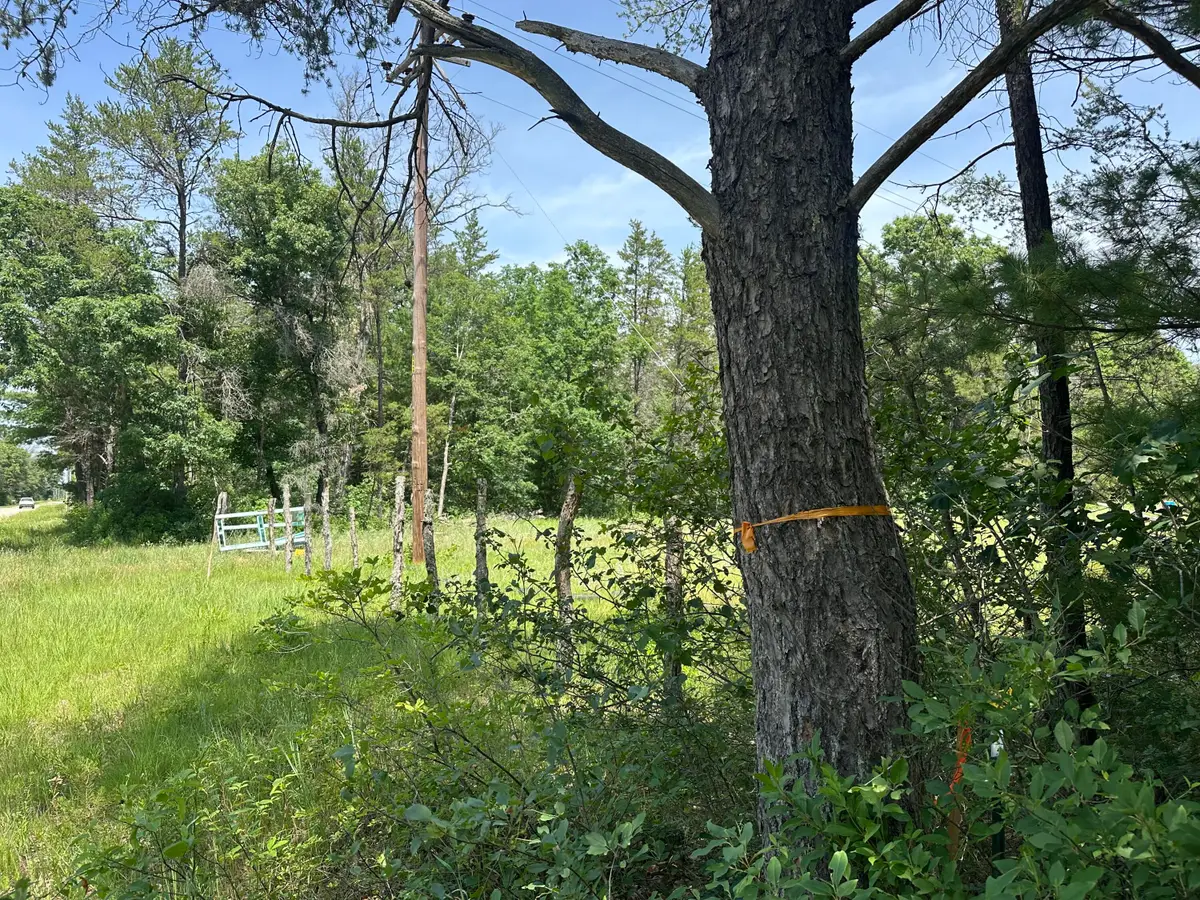 00 S Broadway Street, Idlewild, MI 49642 - #1