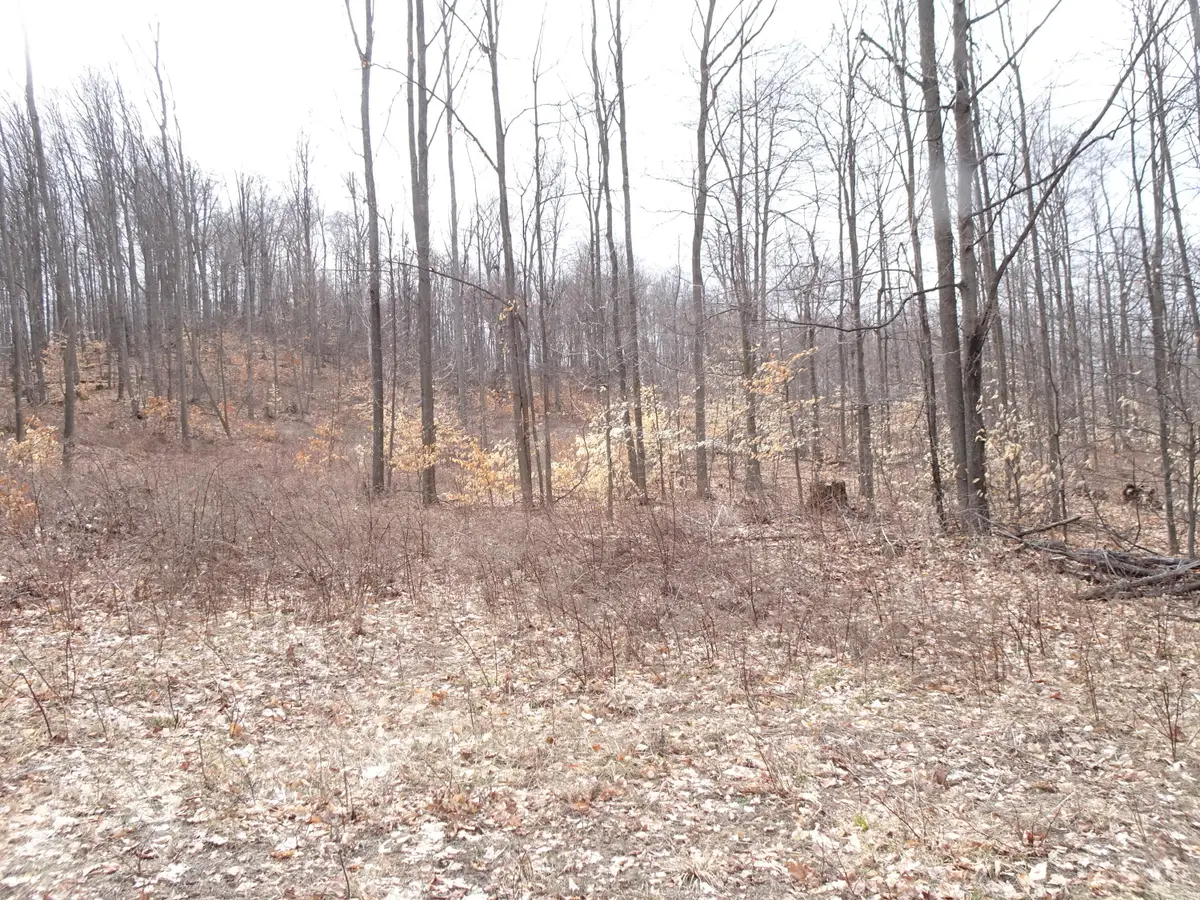 L Chief Road, Bear Lake, MI 49614 - #1
