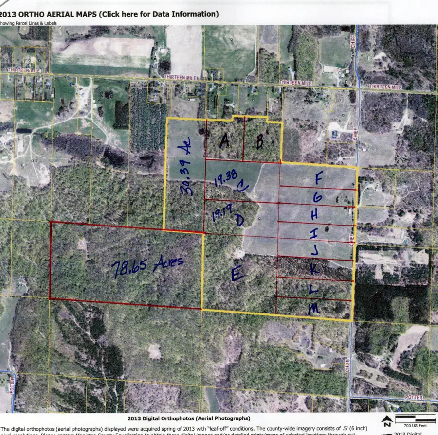 B Chief Road, Bear Lake, MI 49614 - #2