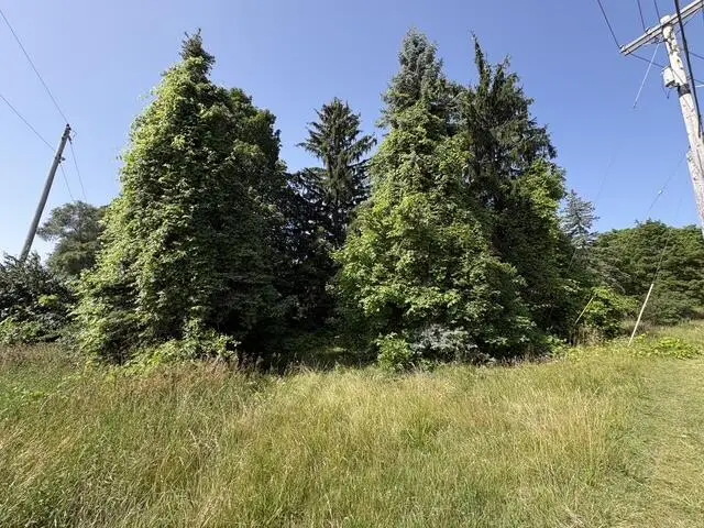 1786 E Napier Avenue, Benton Harbor, MI 49022 - #3