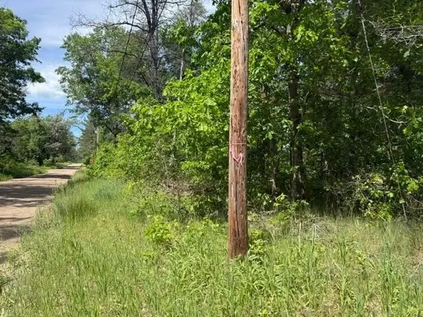 VL Princeton Drive, Baldwin, MI 49304