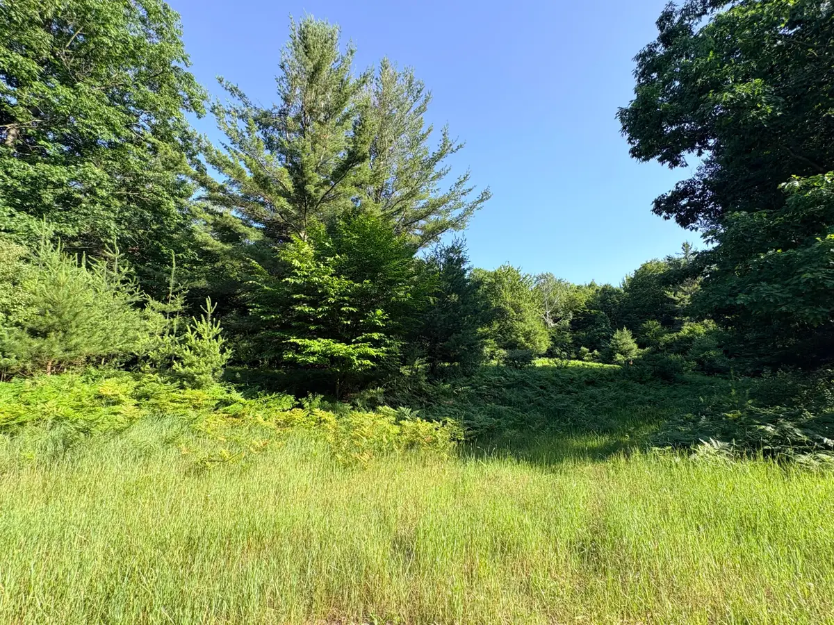Wildwood Trail #Lot A, Manistee, MI 49660 - #1