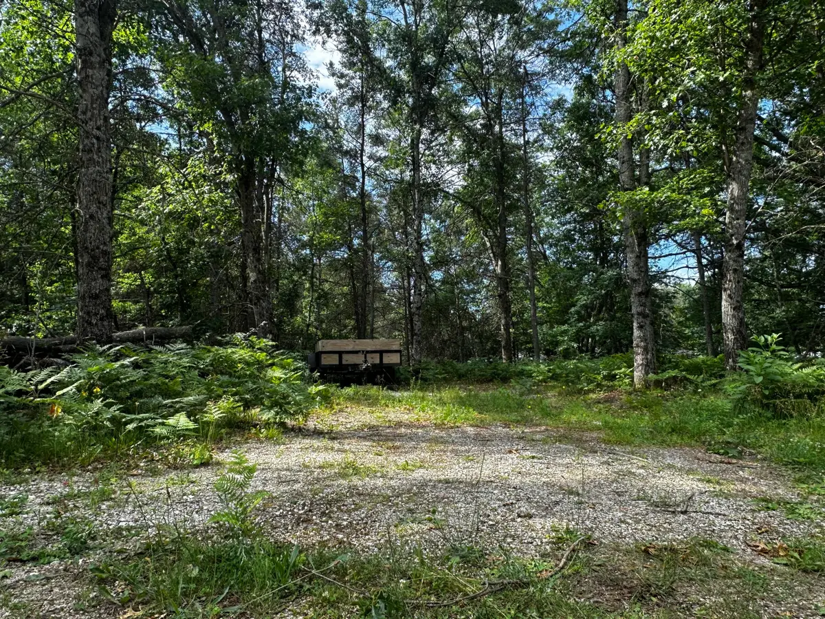 VL W Airpark Drive, Luther, MI 49656 - #1