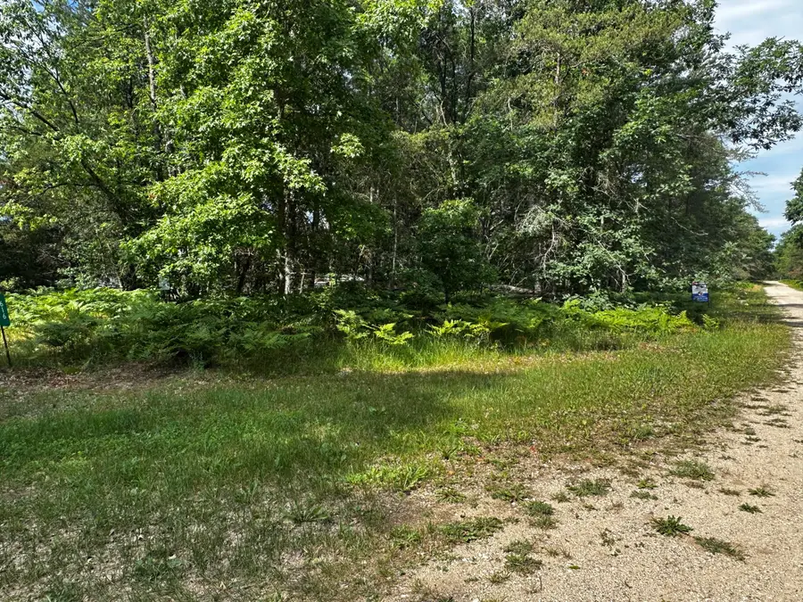 VL W Airpark Drive, Luther, MI 49656 - #2