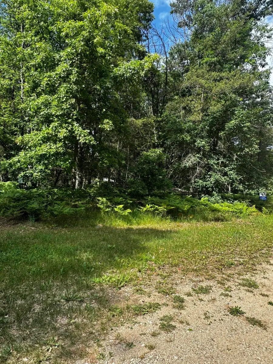 VL W Airpark Drive, Luther, MI 49656 - #3