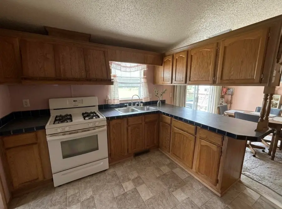 4546 Russell Street Ne, Cedar Springs, MI 49319 - #2
