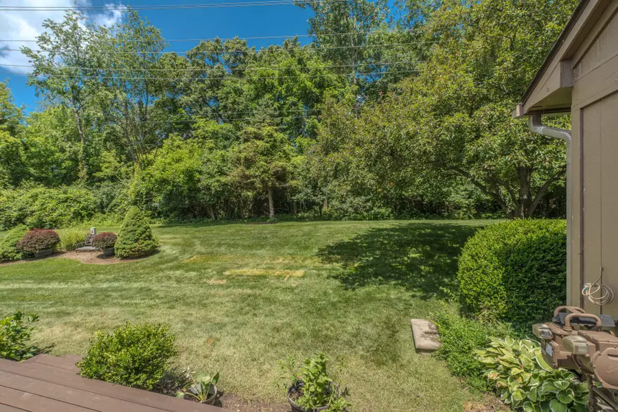 587 Park Place, Saline, MI 48176 - #2